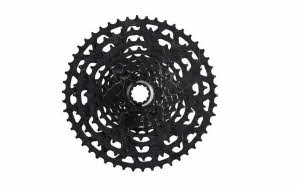 12659p_20250805092330